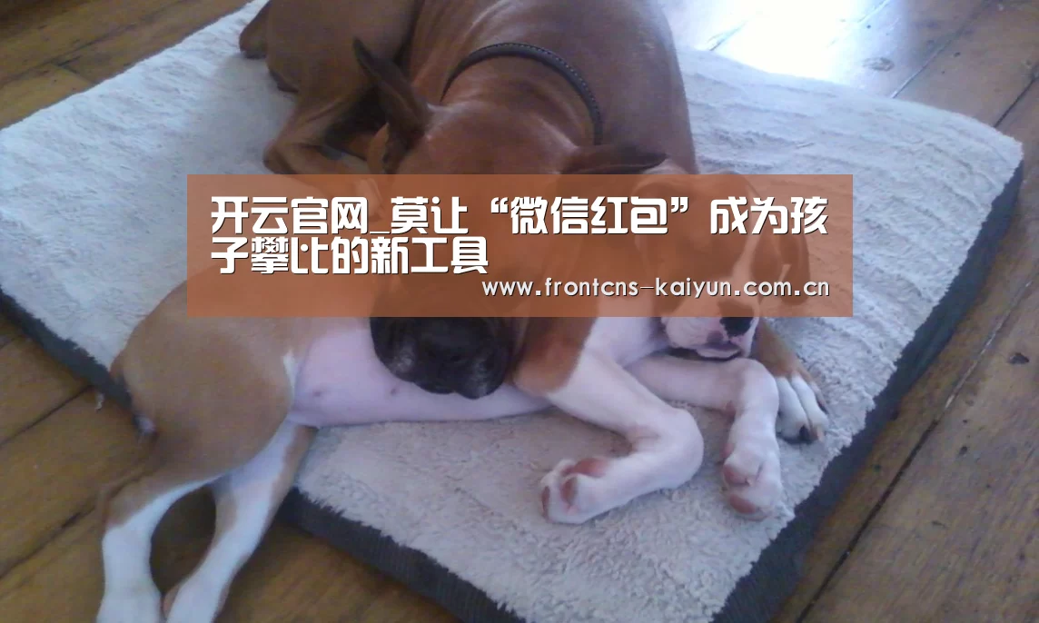 开云体育下载