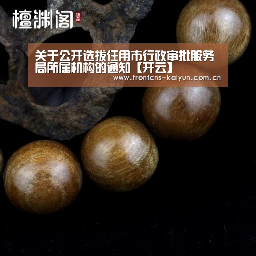 关于公开选拔任用市行政审批服务局所属机构的通知【开云】(图1) 开云体育下载