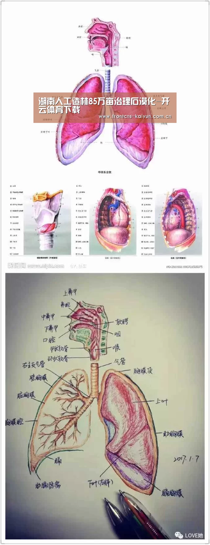 开云体育入口