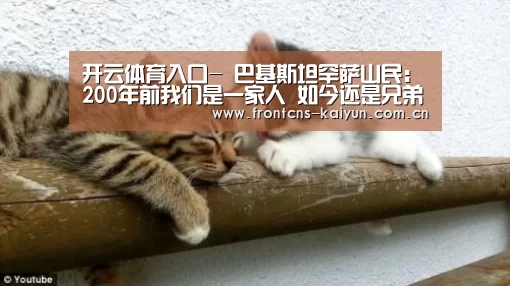 开云