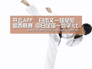 开云APP