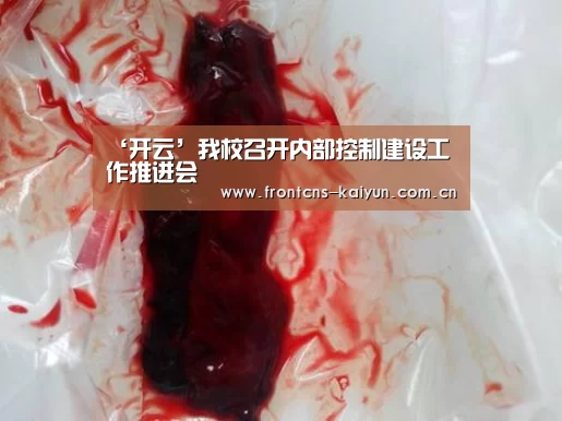 ‘开云’我校召开内部控制建设工作推进会(图3) 开云