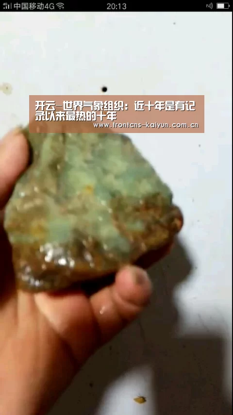 开云APP